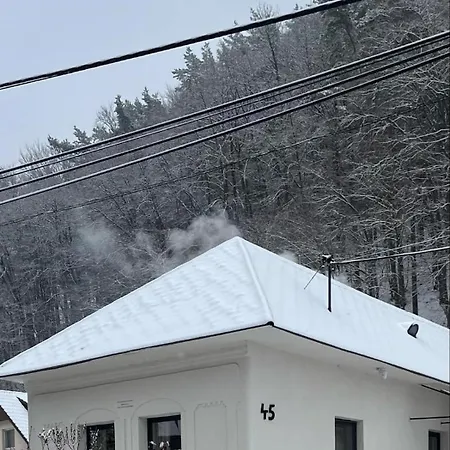 Nyaraló Rodinna V Rekreacnej Oblasti Drienica