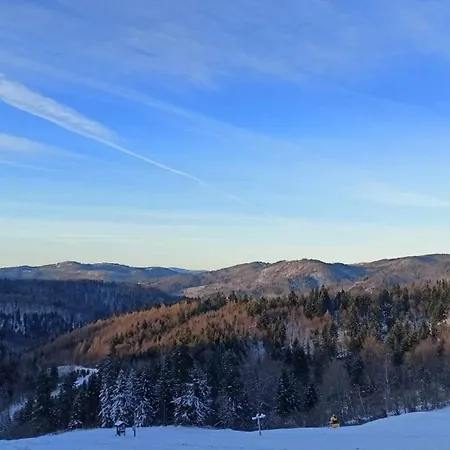 Rodinna V Rekreacnej Oblasti Drienica