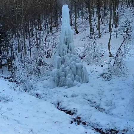 Nyaraló Rodinna V Rekreacnej Oblasti Drienica