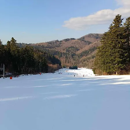 Rodinna Chata V Rekreacnej Oblasti Drienica Holiday home Sabinov