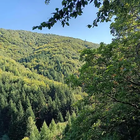 Dom wakacyjny Rodinna V Rekreacnej Oblasti Drienica
