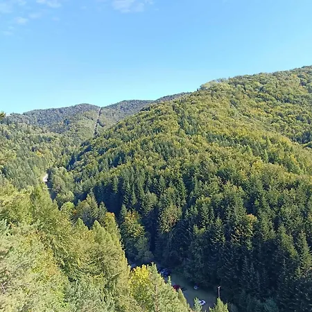 Rodinna V Rekreacnej Oblasti Drienica Nyaraló Kisszeben