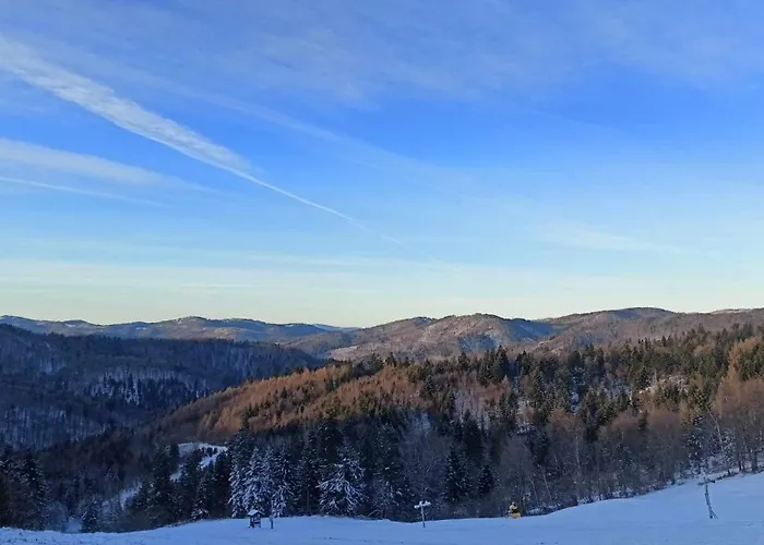 Rodinna V Rekreacnej Oblasti Drienica
