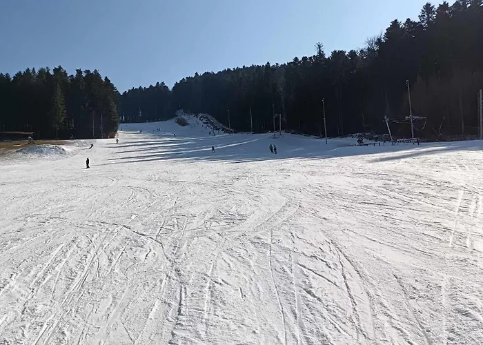 Rodinna V Rekreacnej Oblasti Drienica *