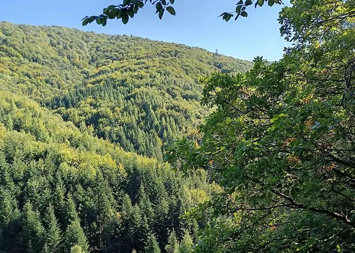 بيت للعطل Rodinna V Rekreacnej Oblasti Drienica