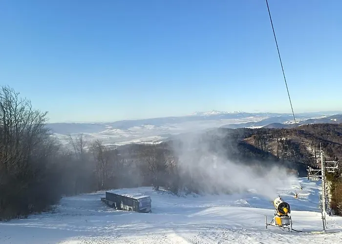 Rodinna V Rekreacnej Oblasti Drienica * Sabinov